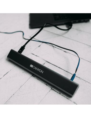 Canyon DS-6 USB 3.2 Gen 1 (3.1 Gen 1) Type-C Gris