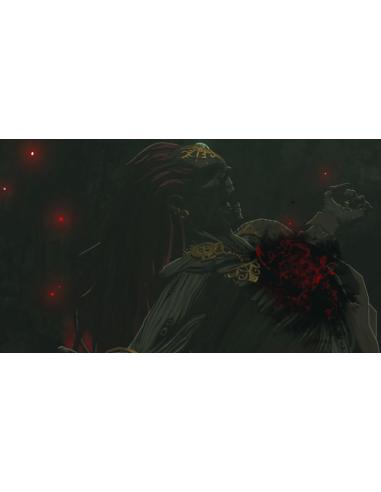 Nintendo The Legend of Zelda: Tears of the Kingdom, Switch Estándar Chino tradicional, Alemán, Holandés, Inglés, Español, Francé