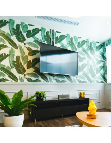 TooQ Soporte de pared para pantallas 32”- 55”