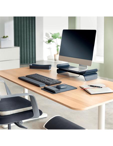 Leitz Ergo Adjustable Monitor Stand 68,6 cm (27") Escritorio Gris