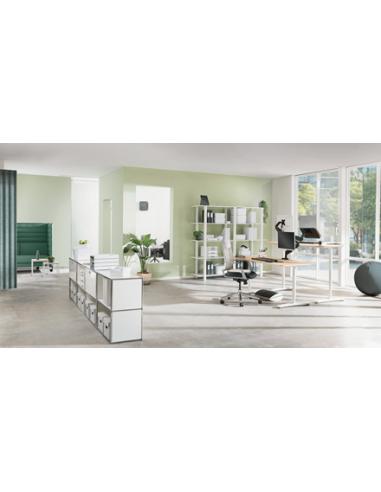 Leitz Ergo Adjustable Monitor Stand 68,6 cm (27") Escritorio Gris