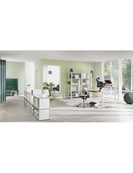 Leitz Ergo Adjustable Monitor Stand 68,6 cm (27") Escritorio Gris