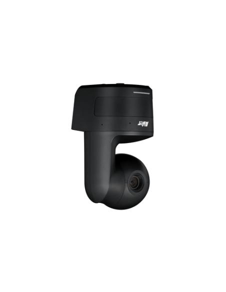 AVer DL10 2 MP Negro 1920 x 1080 Pixeles 60 pps CMOS 25,4 / 2,8 mm (1 / 2.8")