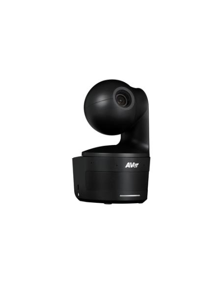 AVer DL10 2 MP Negro 1920 x 1080 Pixeles 60 pps CMOS 25,4 / 2,8 mm (1 / 2.8")