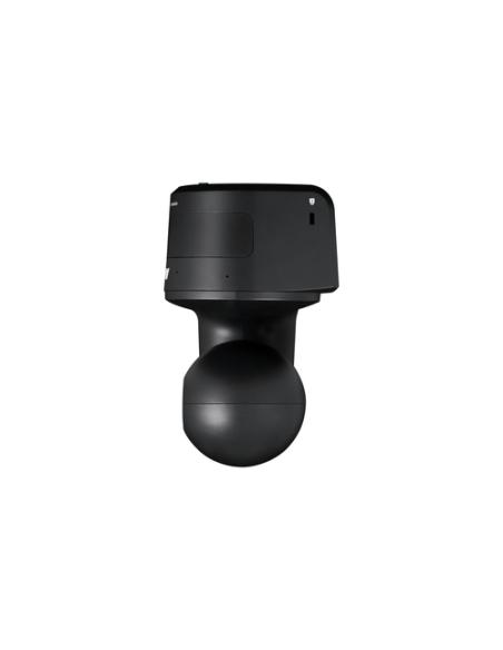 AVer DL10 2 MP Negro 1920 x 1080 Pixeles 60 pps CMOS 25,4 / 2,8 mm (1 / 2.8")