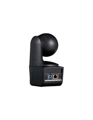 AVer DL10 2 MP Negro 1920 x 1080 Pixeles 60 pps CMOS 25,4 / 2,8 mm (1 / 2.8")
