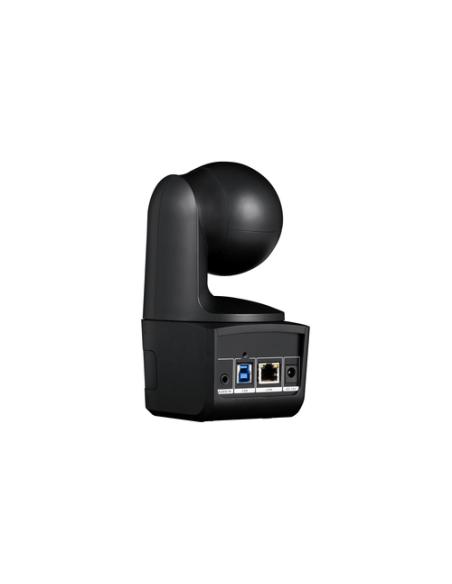 AVer DL10 2 MP Negro 1920 x 1080 Pixeles 60 pps CMOS 25,4 / 2,8 mm (1 / 2.8")