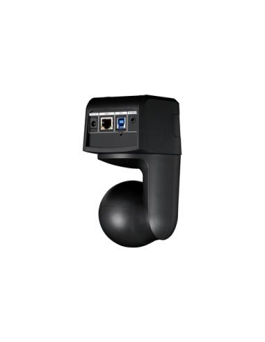 AVer DL10 2 MP Negro 1920 x 1080 Pixeles 60 pps CMOS 25,4 / 2,8 mm (1 / 2.8")