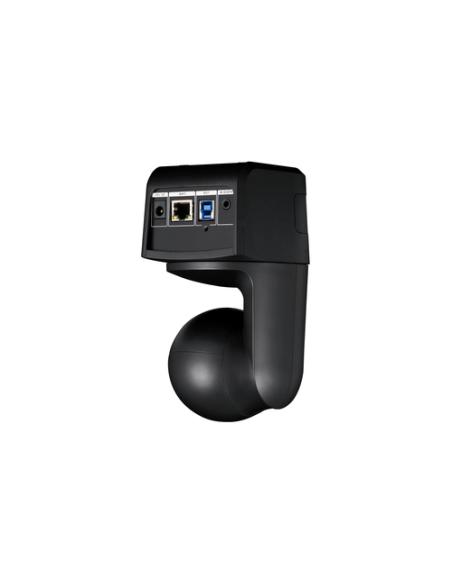 AVer DL10 2 MP Negro 1920 x 1080 Pixeles 60 pps CMOS 25,4 / 2,8 mm (1 / 2.8")