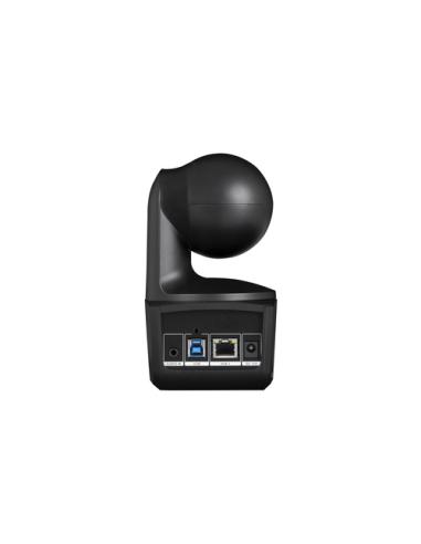 AVer DL10 2 MP Negro 1920 x 1080 Pixeles 60 pps CMOS 25,4 / 2,8 mm (1 / 2.8")