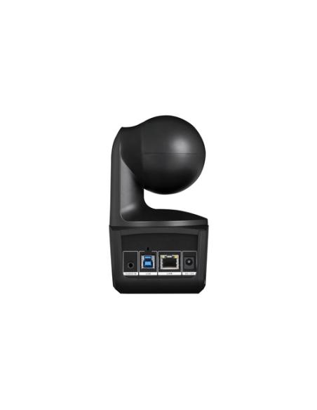 AVer DL10 2 MP Negro 1920 x 1080 Pixeles 60 pps CMOS 25,4 / 2,8 mm (1 / 2.8")