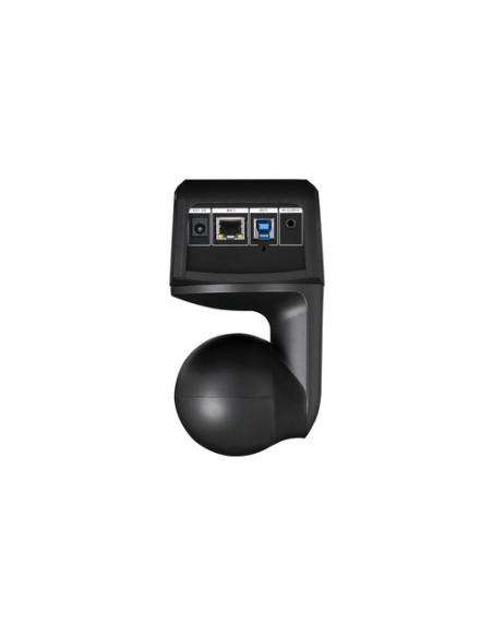 AVer DL10 2 MP Negro 1920 x 1080 Pixeles 60 pps CMOS 25,4 / 2,8 mm (1 / 2.8")