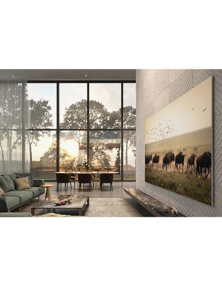Samsung MNA110MS1AC 2,79 m (110") 4K Ultra HD Smart TV Wifi Acero inoxidable