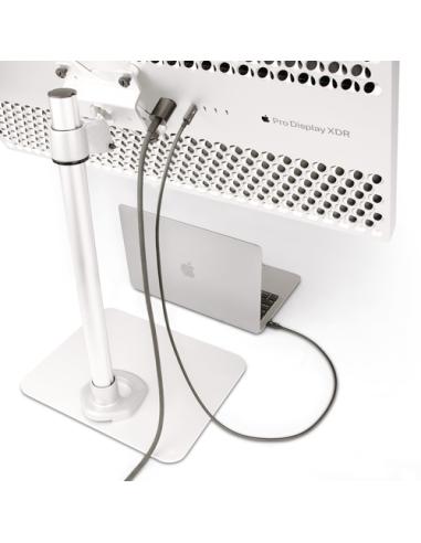 StarTech.com Cable de 1m Thunderbolt 4 - 40Gbps - PD 100W - Vídeo 4K/8K - Cable Thunderbolt 4 con Certificación Intel - Compatib