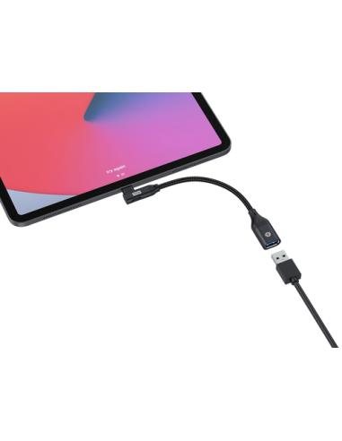Conceptronic ABBY19B cambiador de género para cable USB-C USB-A Negro