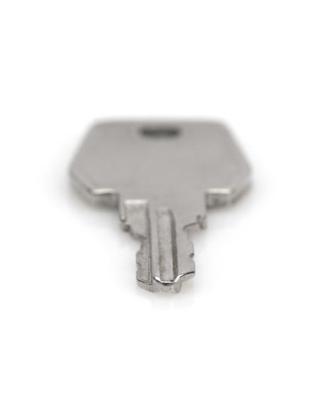 Digitus Llave para armarios murales de las series Unique y SOHO Pro