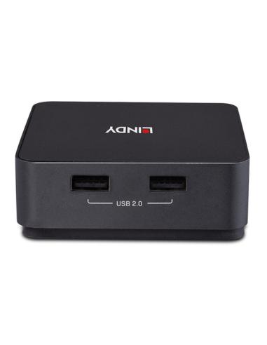 Lindy 42321 interruptor KVM Gris