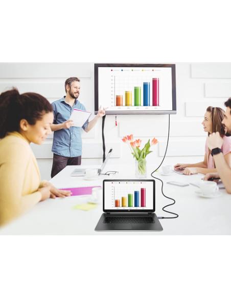 Conceptronic ABBY10G adaptador de cable de vídeo 2 m USB Tipo C HDMI Gris