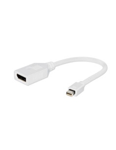 Gembird A-mDPM-DPF-001-W 0,1 m DisplayPort Mini DisplayPort Blanco