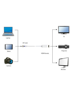 Gembird A-mDPM-DPF-001-W 0,1 m DisplayPort Mini DisplayPort Blanco 2