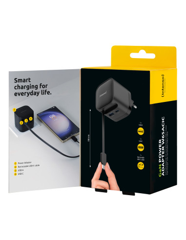 Intenso 7806520 adaptador e inversor de corriente Interior 65 W Negro