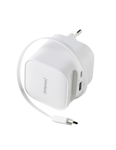 Intenso 7806520 adaptador e inversor de corriente Interior 65 W Negro