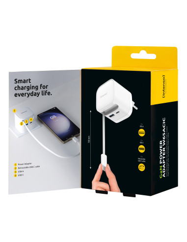 Intenso 7806520 adaptador e inversor de corriente Interior 65 W Negro