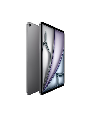 Apple iPad 13'' Wi-Fi + Cellular 1TB - Gris especial