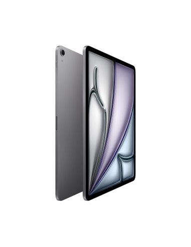 Apple iPad 13'' Wi-Fi 512GB - Gris especial