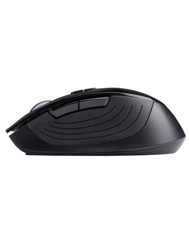 Hiditec Dendro ratón Oficina mano derecha RF inalámbrico Óptico 2000 DPI