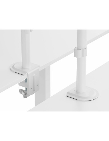 Equip Soporte de escritorio articulado para dos monitores de 17«-32», blanco