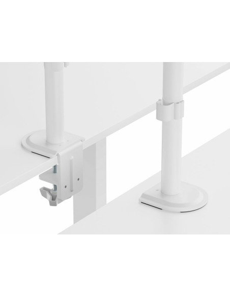 Equip Soporte de escritorio articulado para dos monitores de 17«-32», blanco