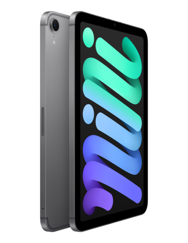 Apple iPad mini 7th gen 5G TD-LTE & FDD-LTE 256 GB 21,1 cm (8.3") Wi-Fi 6E (802.11ax) iPadOS 18 Gris
