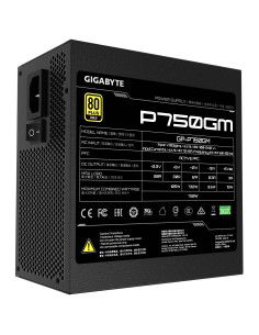 GIGABYTE P750GM unidad de fuente de alimentación 750 W 20+4 pin ATX ATX Negro 2