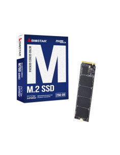 Biostar M760 256 GB M.2 PCI Express 4.0 NVMe