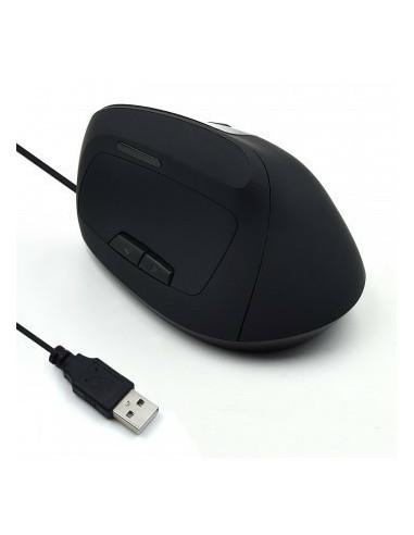 Ewent EW3157 ratón Oficina mano derecha USB tipo A Óptico 1800 DPI