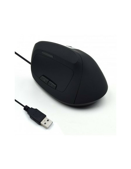 Ewent EW3157 ratón Oficina mano derecha USB tipo A Óptico 1800 DPI