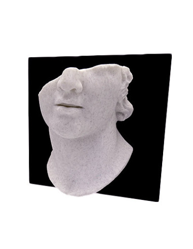 Winkle 8435532913498 material de impresión 3d Ácido poliláctico (PLA) Blanco 1 kg