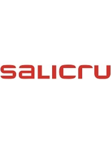 Salicru INTERNAL SNMP CARD