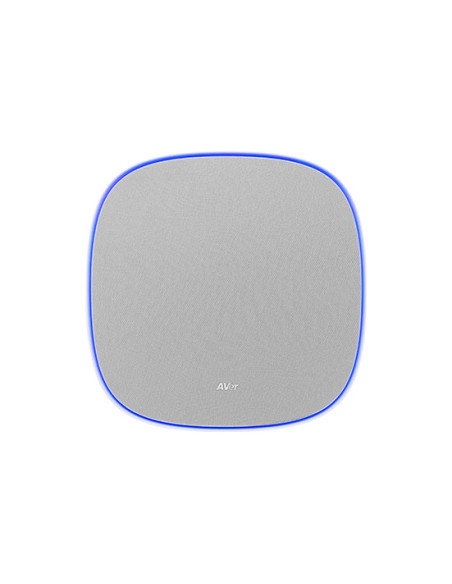 AVer FONE700 Speakerhone Gris