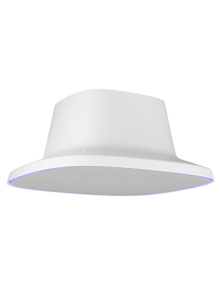 AVer FONE700 Speakerhone Gris