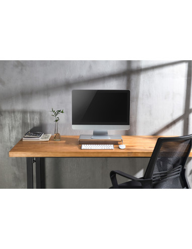 Digitus Elevador de aluminio para monitor