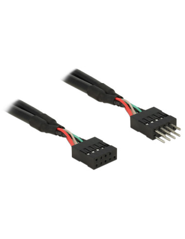 DeLOCK 0.1m 2xUSB2.0 10p