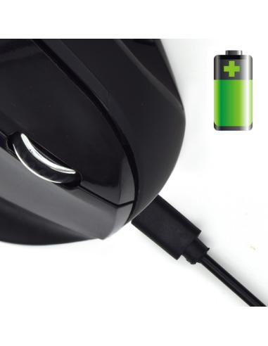 Ewent Ratón inalámbrico y ergonómico