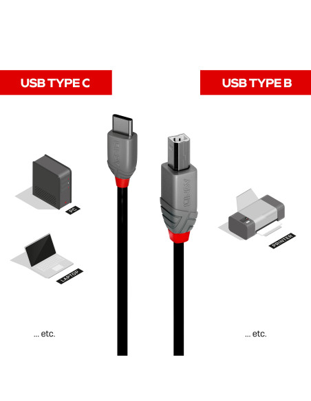 Lindy 36941 cable USB USB 2.0 1 m USB C USB B Negro