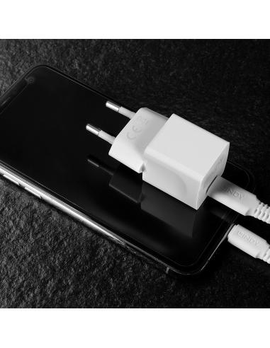 Lindy 73410 cargador de dispositivo móvil Smartphone Blanco Corriente alterna Interior