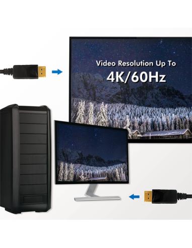 LogiLink CD0101 cable DisplayPort 2 m Negro