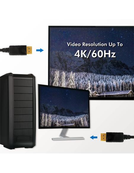 LogiLink CD0101 cable DisplayPort 2 m Negro
