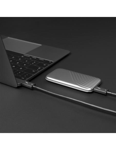 Lindy 31120 cable Thunderbolt 1 m 40 Gbit/s Negro