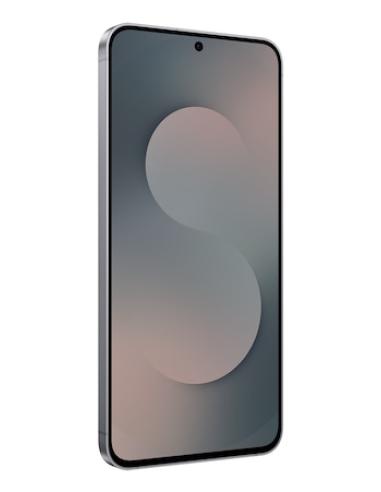Samsung Galaxy S25 FE Enterprise Edition 17 cm (6.7") SIM doble Android 16.0 5G USB Tipo C 8 GB 128 GB 4900 mAh Negro